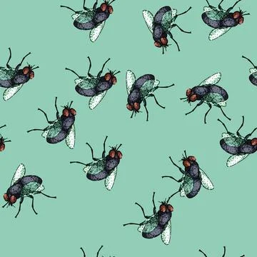 Pattern insect fly sketch hand drawn Stock Illustration