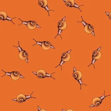 Pattern insect snail sketch hand drawn Stock Illustration