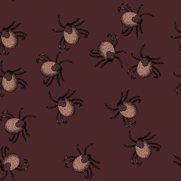 Pattern insect tick sketch hand drawn Ilustração Stock