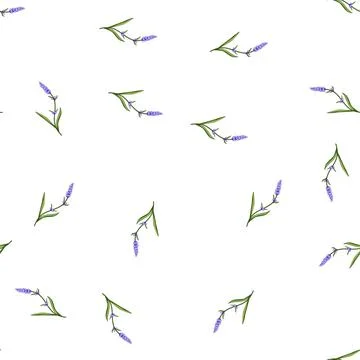 Pattern ireland lavender cartoon vector Stock Illustration