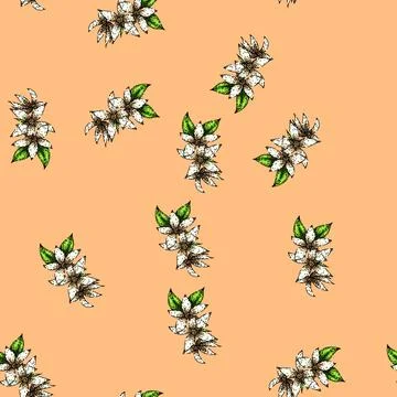 Pattern isolated jasmine sketch hand drawn Illustrazione stock