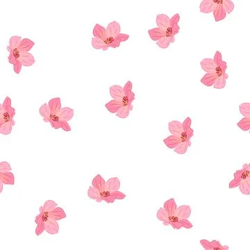 Pattern japan sakura cherry blossom cartoon vector Stock Illustration