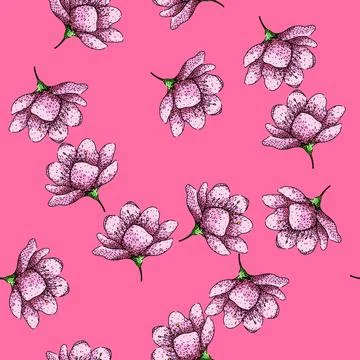 Pattern japan sakura sketch hand drawn Stock Illustration