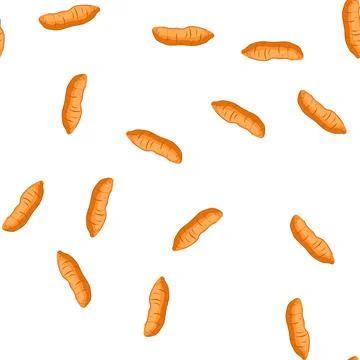 Pattern jicama root vegetable isolated on white background Stock Illustration