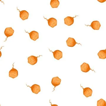 Pattern jicama root vegetable showing natural texture and fibrous roots Stock Illustration