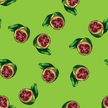 Pattern juice guava fruit sketch hand drawn Stock Illustration