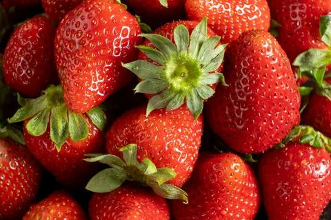 Pattern of juicy strawberries close up Stock Photos