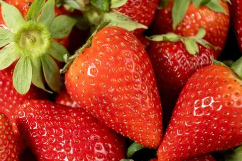 Pattern of juicy strawberries close up Stock Photos