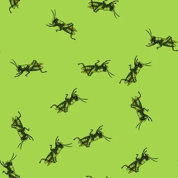 Pattern jumping grasshopper sketch hand drawn Stock Illustration