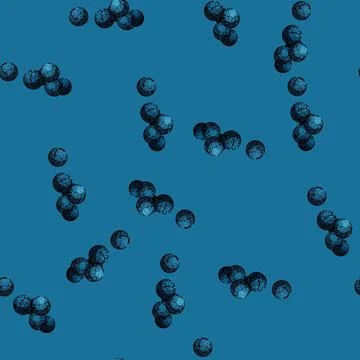 Pattern juniper berry blue sketch hand drawn Illustrazione stock