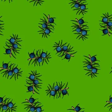 Pattern juniper berry branch sketch hand drawn Illustrazione stock