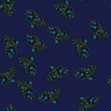 Pattern juniper berry gin sketch hand drawn Stock Illustration