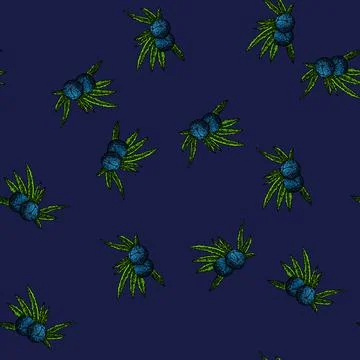Pattern juniper berry plant sketch hand drawn Illustrazione stock