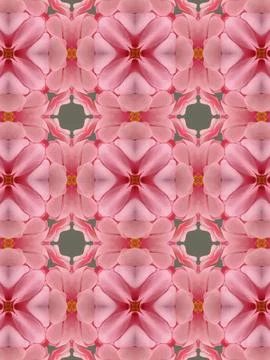 Pattern kaleidoscope Foto stock