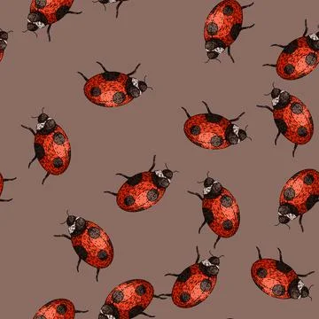 Pattern lady ladybug sketch hand drawn Stock Illustration