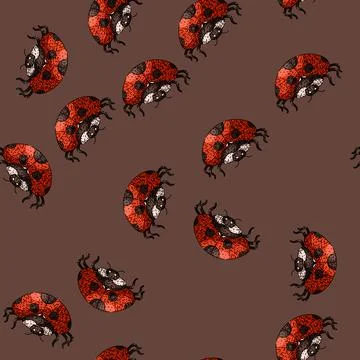 Pattern ladybird ladybug sketch hand drawn Stock Illustration