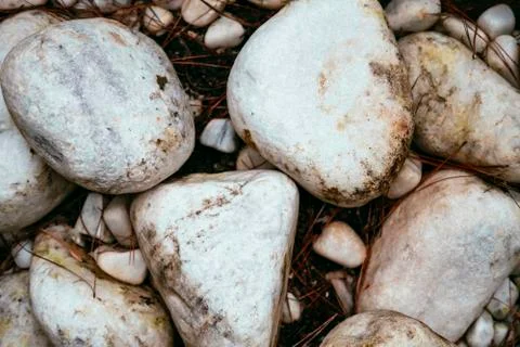 Pattern large white stones on ground 스톡 사진