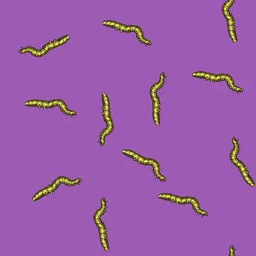 Pattern larva caterpillar sketch hand drawn 스톡 일러스트