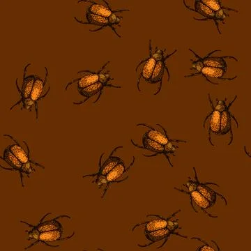 Pattern lawn chafer sketch hand drawn 스톡 일러스트