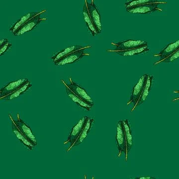 Pattern leaf banana sketch hand drawn Stock Illustration