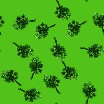 Pattern leaf coriander sketch hand drawn 스톡 일러스트