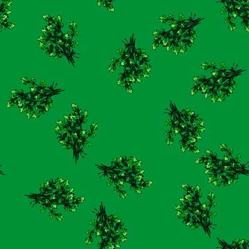 Pattern leaf parsley sketch hand drawn Illustrazione stock