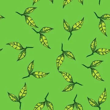 Pattern leaf tea sketch hand drawn Stock Illustration