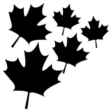 Pattern of leafs maple canada Illustrazione stock