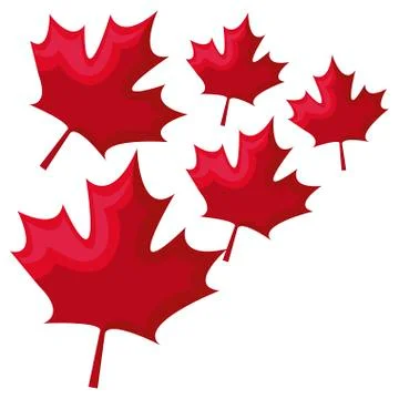 Pattern of leafs maple canada Stock Illustration