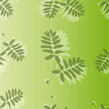 Pattern of leaves Stock Illustration
