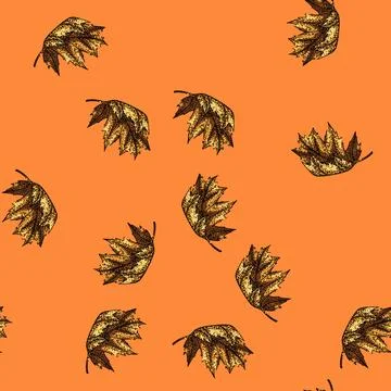 Pattern leaves maple leaf sketch hand drawn イラスト素材