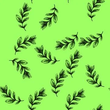 Pattern leaves marjoram sketch hand drawn Illustrazione stock