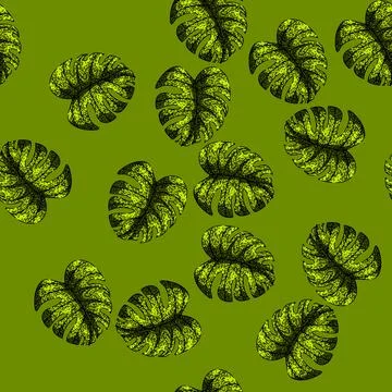 Pattern leaves monstera leaf sketch hand drawn Stock Illustration