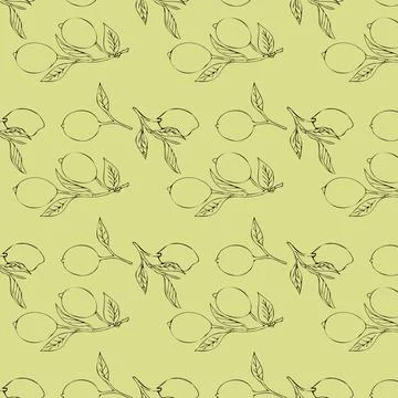 Pattern of lemon and lime graphics on branches Stock Illustration