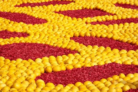 Pattern of lemon citrus fruit Stock Photos