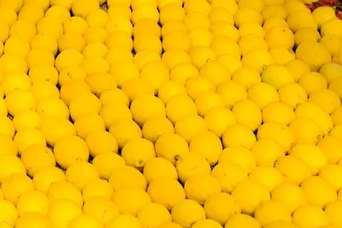 Pattern of lemon citrus fruit 写真素材