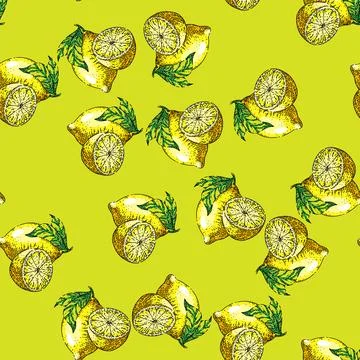 Pattern lemon fruit cut sketch hand drawn Stock Illustration