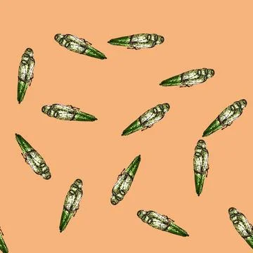 Pattern lemon lemongrass sketch hand drawn Stock Illustration