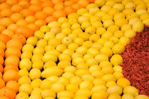 Pattern of lemons and oranges citrus fruit Stock Photos