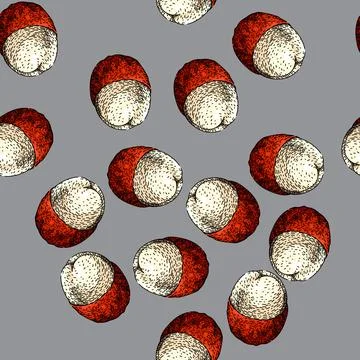 Pattern lichee lychees sketch hand drawn Stock Illustration