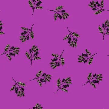 Pattern licorice plant herb sketch hand drawn Stock Illustration