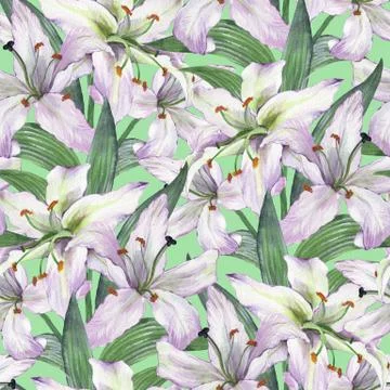 Pattern with lilies. Floral seamless background 2 Stock-Illustration