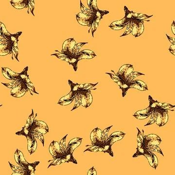 Pattern lily astroemeria sketch hand drawn Stock Illustration
