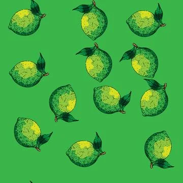 Pattern lime green fruit sketch hand drawn 스톡 일러스트