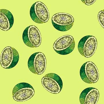 Pattern lime slice citrus sketch hand drawn Stock Illustration