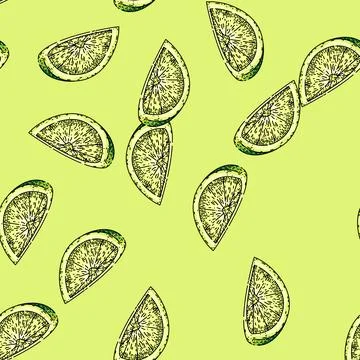 Pattern lime slice cut sketch hand drawn Stockillustratie