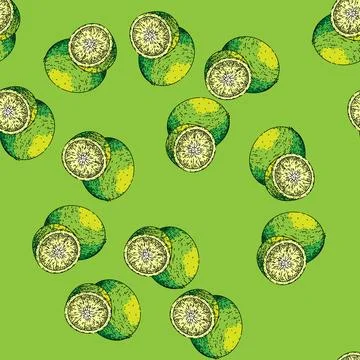 Pattern lime slice fruit sketch hand drawn Stock Illustration