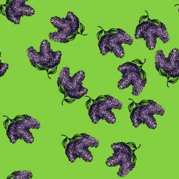 Pattern line lilac sketch hand drawn Stock Illustration