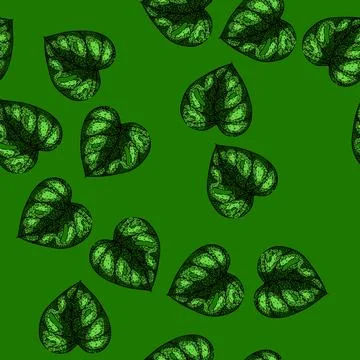 Pattern line monstera leaf sketch hand drawn Stock Illustration