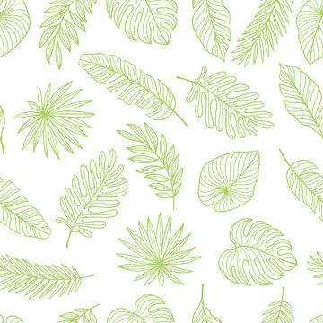 Pattern with linear palm leaves. Decorative image of tropical foliage and pla イラスト素材